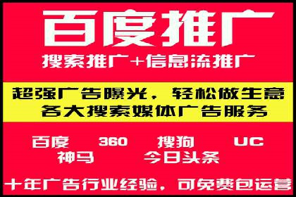 百度推广运营实战：成功案例解析